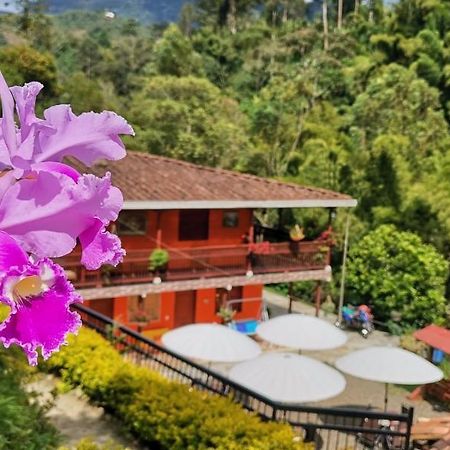 Hotel Orillas Del Pizano Jardin Exterior foto