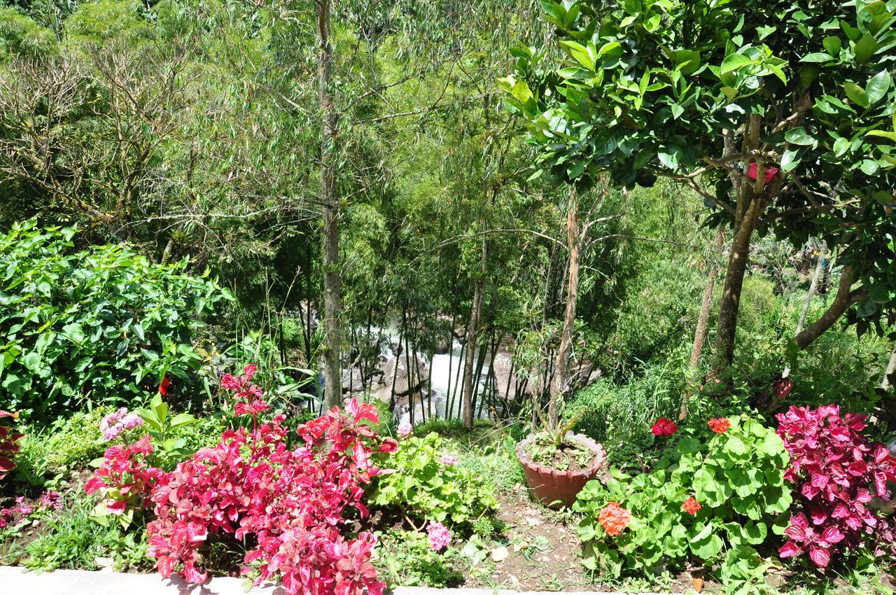 Hotel Orillas Del Pizano Jardin Exterior foto